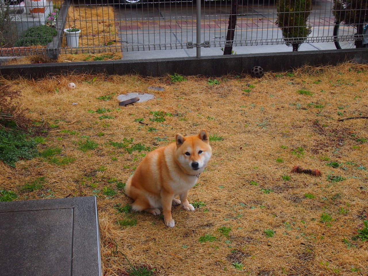 巴黎圣日耳曼引援持续升级，豪门阵容更豪华，巴黎圣日耳曼阵容强大