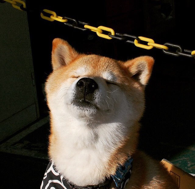 开云体育官网下载安装-全国青少年“校园明星”篮球赛事激烈角逐冠军宝座，2020年全国青少年篮球比赛有哪些