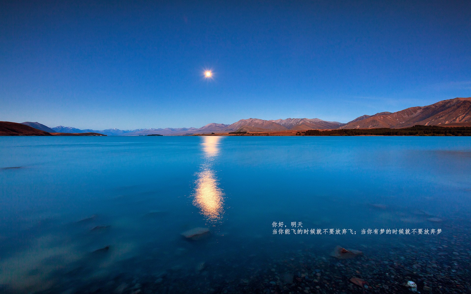 开云备用-意甲：年轻潜力股转会潮涌动，未来可期，意甲最佳青年球员