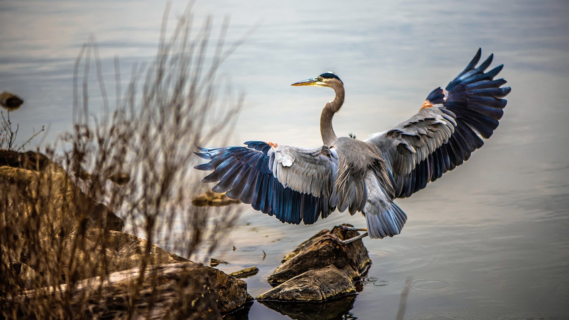 kaiyun 开云体育-掘金发布球员自传集《我们就是丹佛》，首日销量破万